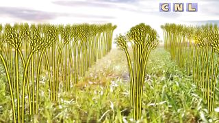 Анатолий Мокляк - Мое отношение к работе 2