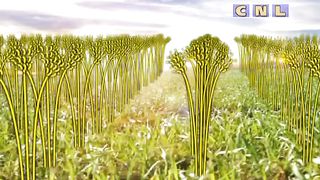 Анатолий Мокляк - Мое отношение к работе 1