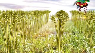 Анатолий Мокляк - Мы - дети Божьи