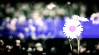 Дарина Кочанжи - Сын Бога вместо меня