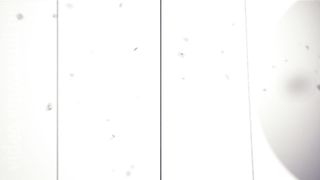 180° - Исаевы. Путь героев