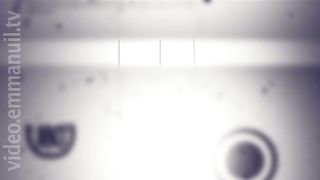 180° - Путь чемпиона