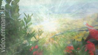 Жизнь после смерти