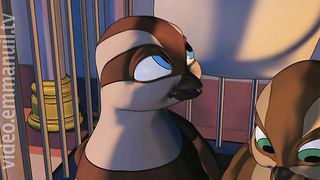 Quails Quest - It's A Boy / Это мальчик