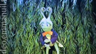 Остров Паха-Пахау 1