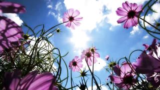 Как прекрасно всё то что ТВОЁ (Боже Мой, это Ты, это Ты)