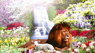 Есть на небе город