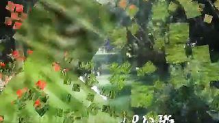 Ты прости, Господь! Видеоклип