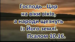 В дни радости и счастья
