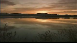 В дни радости и счастья