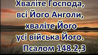 В дни радости и счастья