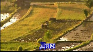 Мой дом (Мимо текла-текла река)