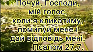 Мой дом (Мимо текла-текла река)