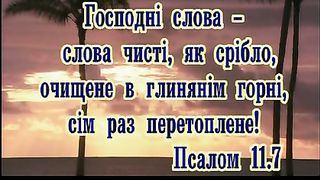 Мой дом (Мимо текла-текла река)