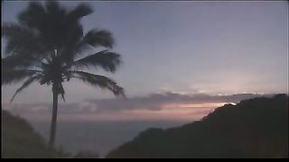 Мой дом (Мимо текла-текла река)