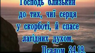 Счастье (Отплывает в открытое море)