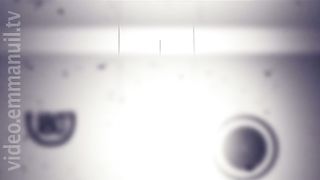 180 Градусов - В поисках отца