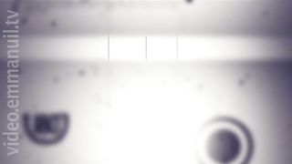 180 Градусов - История Дюймовочки