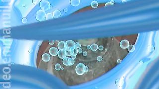 Живая Вода - Не молчи