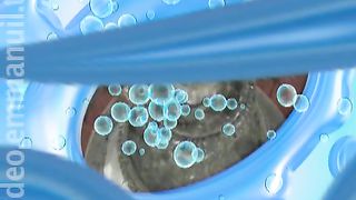 Живая Вода - Возрождение