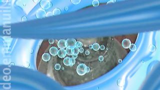 Живая Вода - Любовь