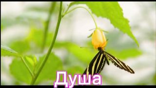 За окном темнота за окном снова дождь