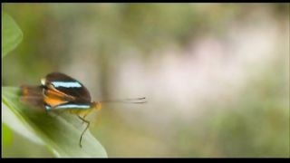 За окном темнота за окном снова дождь