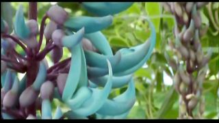 За окном темнота за окном снова дождь