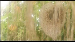 За окном темнота за окном снова дождь