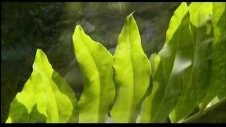 ПІСЛЯ ДОВГОІ РОЗЛУКИ