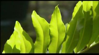 ПІСЛЯ ДОВГОІ РОЗЛУКИ