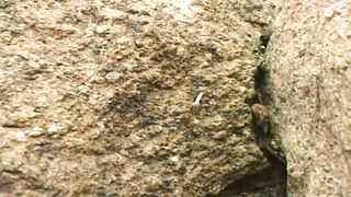 Великий Бог!