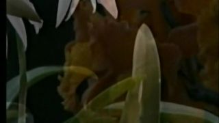 МИ ЗУСТРІЛИСЬ З ТОБОЮ