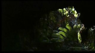 Ранним утром и ноченькой поздней