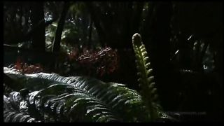 Ранним утром и ноченькой поздней