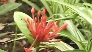 На далеком холме