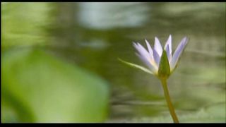 Я прихожу к Тебе мой Бог