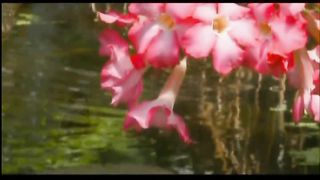 Я прихожу к Тебе мой Бог