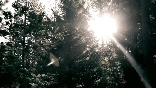 Богоискание славянских народов - Приход Христианства на Русь 1