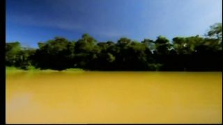 В час когда весенним утром