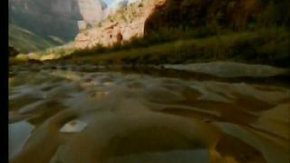 Среди невзгод, сомненья и ненастья