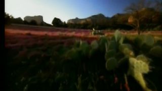 Среди невзгод, сомненья и ненастья