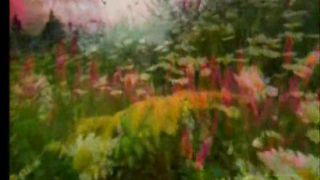 Роки! Мов ключ журавлів, десь летять