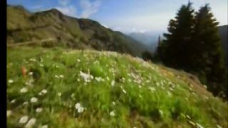 Роки! Мов ключ журавлів, десь летять