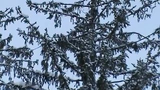 Сімейна конференція служителів ЦХВЄ Пд-Зх регіону 2010 (1)