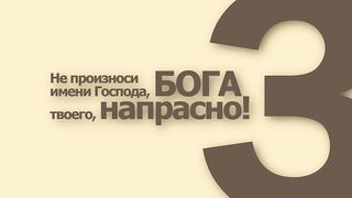 10 заповедей (ролик)