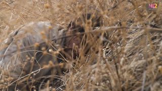 Любовь приходит тихо 11 (часть 2) (Рождественский роман)