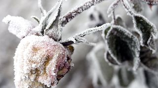 Мой Дар Господу!