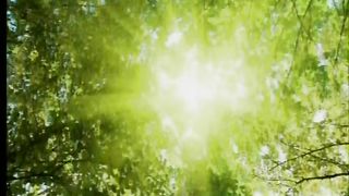 Духу Святий до нас зійди