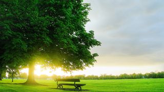 Вечерний свет